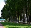 Санаторий «им. Орловского» Белоруссия, Могилевская область, отдых все включено №17