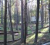 Санаторий «Летцы» Белоруссия, Витебская область, отдых все включено №22