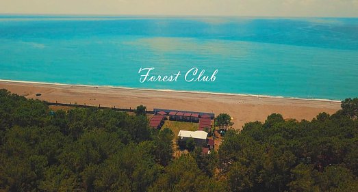 Отель Forest Club Пицунда - официальный сайт