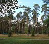 Санаторий «Берестье» Белоруссия, Брестская область, отдых все включено №40